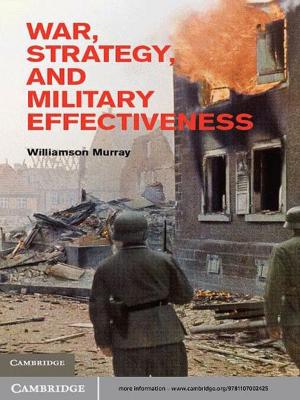 Cover of the book War, Strategy, and Military Effectiveness by Benjamin Steege