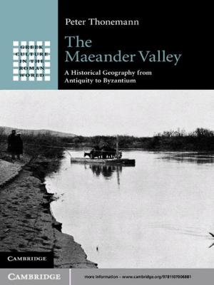 Cover of the book The Maeander Valley by Ernesto Calvo