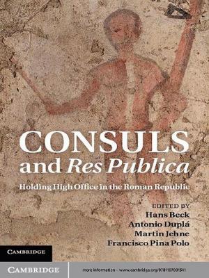 Cover of the book Consuls and Res Publica by Michael Ziser