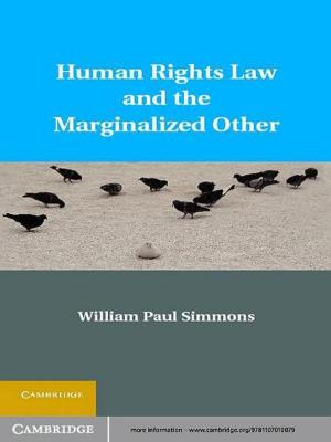 Cover of the book Human Rights Law and the Marginalized Other by Colleen McCluskey