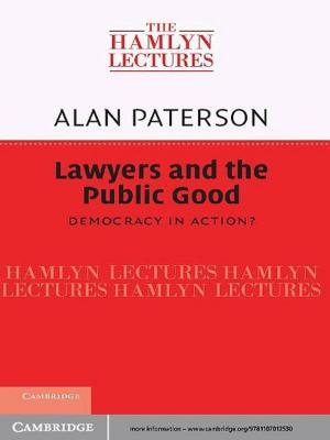 Cover of the book Lawyers and the Public Good by Glenna Matthews