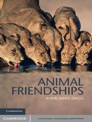 Book cover of Animal Friendships