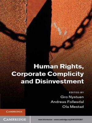 Cover of the book Human Rights, Corporate Complicity and Disinvestment by 