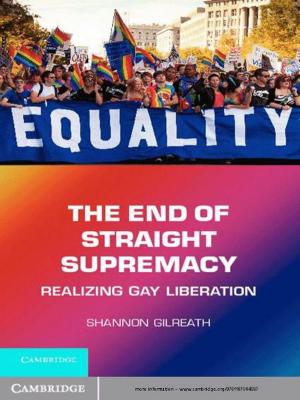 Cover of the book The End of Straight Supremacy by 