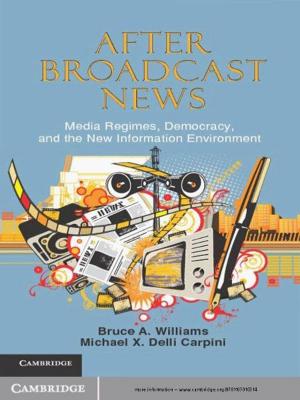 Book cover of After Broadcast News