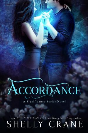 Cover of the book Accordance by Laraine Anne Barker