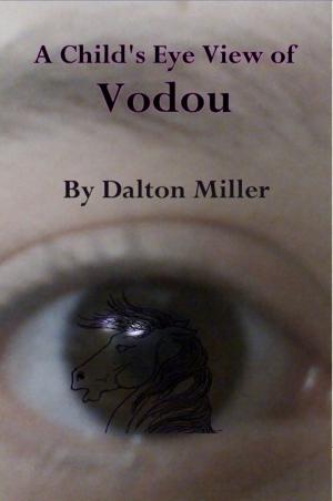 Cover of the book A Child's Eye View of Vodou by Eric Leif Davin