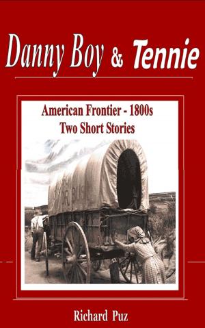 Cover of the book Danny Boy by Steven A. Brownrigg