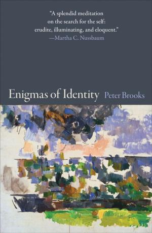 Cover of the book Enigmas of Identity by Jiming Peng, Cornelis Roos, Tamás Terlaky