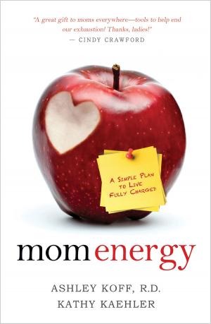 Book cover of Mom Energy