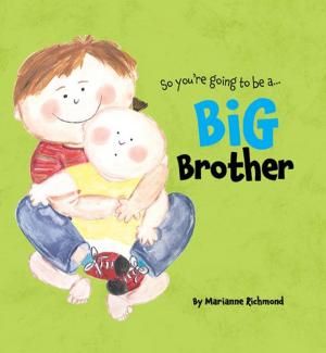 Cover of the book Big Brother by Amanda Forester