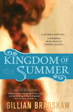 Book cover of Kingdom of Summer