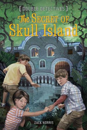 Cover of the book The Secret of Skull Island by Jules Verne, Lisa Church, Arthur Pober, Ed.D