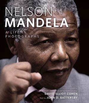 Cover of the book Nelson Mandela by Mohandas Karamchand Gandhi
