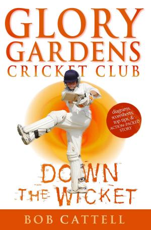 Cover of the book Glory Gardens 7 - Down The Wicket by Catherine Johnson