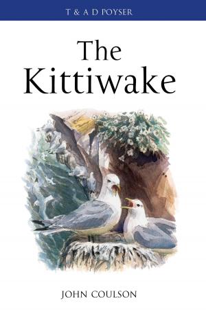 Book cover of The Kittiwake