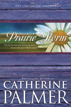 Book cover of Prairie Storm
