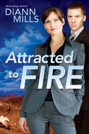 Cover of the book Attracted to Fire by Jolina Petersheim