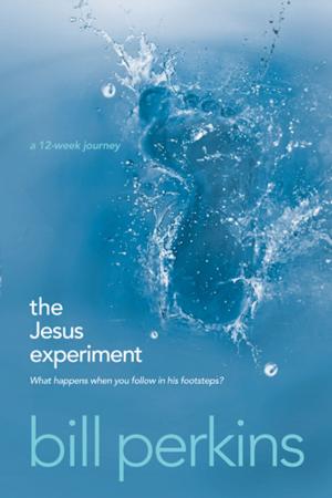 Cover of the book The Jesus Experiment by Peter Newman