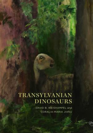 Book cover of Transylvanian Dinosaurs