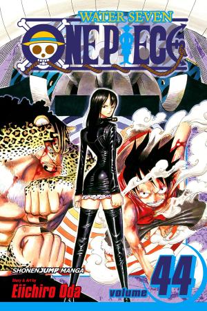 Cover of the book One Piece, Vol. 44 by Haruichi  Furudate