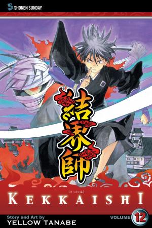 bigCover of the book Kekkaishi, Vol. 12 by 
