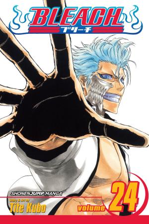 Cover of the book Bleach, Vol. 24 by Karuho Shiina