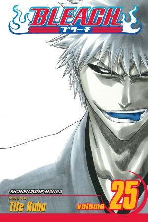 Cover of the book Bleach, Vol. 25 by Takako Shimura