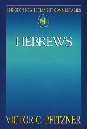 bigCover of the book Abingdon New Testament Commentaries: Hebrews by 