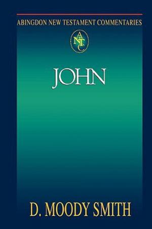 Cover of the book Abingdon New Testament Commentaries: John by Adam Hamilton