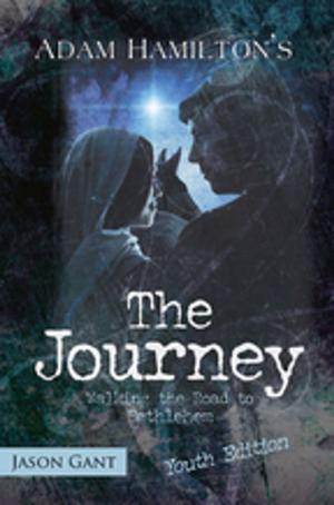 Cover of the book The Journey for Youth by Adam Hamilton