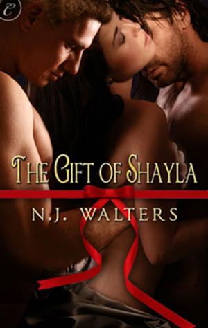 Cover of the book The Gift of Shayla by Josh Lanyon