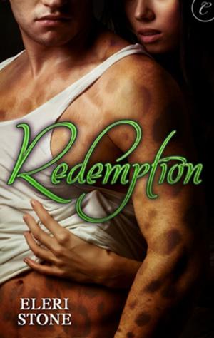 Cover of the book Redemption by Sara Brookes