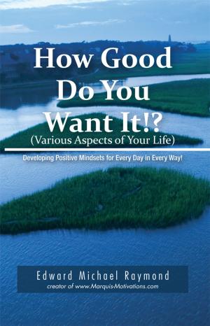 Cover of the book How Good Do You Want It? by R.N. Decker