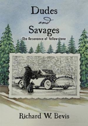 Cover of the book Dudes and Savages by Martin L. Kaiser III