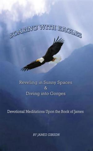 Cover of the book Soaring with Eagles by Martin L. Kaiser III