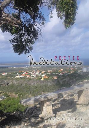 Cover of the book Poetic Meditations by Thomas E. Bird. A.B. MBA