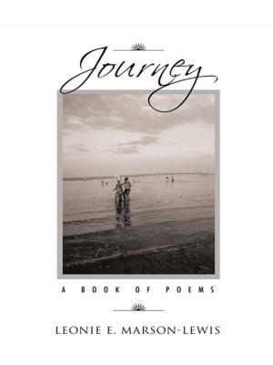 Cover of the book Journey by John P. Christopher