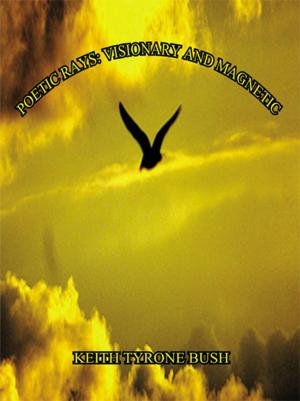 Cover of the book Poetic Rays: Visionary and Magnetic by Apostle Steve Lyston