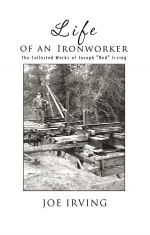 Cover of the book Life of an Ironworker by Judith A. Dempsey