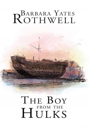 Book cover of The Boy from the Hulks