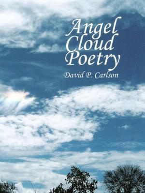 Cover of the book Angel Cloud Poetry by Mary Ann Gillispie
