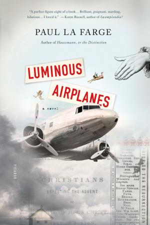 Cover of the book Luminous Airplanes by Michelle Huneven