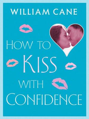 Cover of the book How to Kiss with Confidence by Eliot Pattison