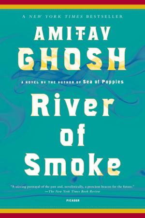Cover of the book River of Smoke by Moira Weigel