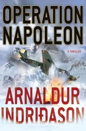Cover of the book Operation Napoleon by Joanna Schaffhausen