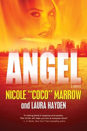 Cover of the book Angel by Lauren A. Johnson