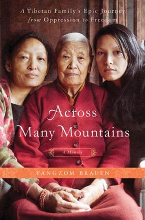 Cover of the book Across Many Mountains by Jessica Beck