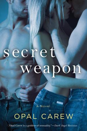 Cover of the book Secret Weapon by Kim Hooper