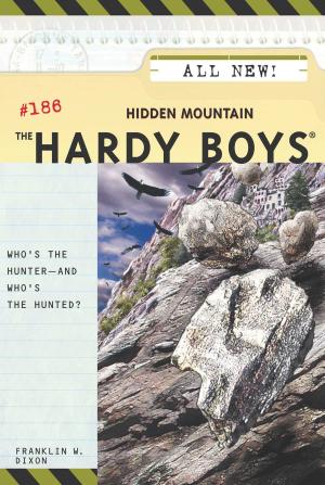 Cover of the book Hidden Mountain by James Riley